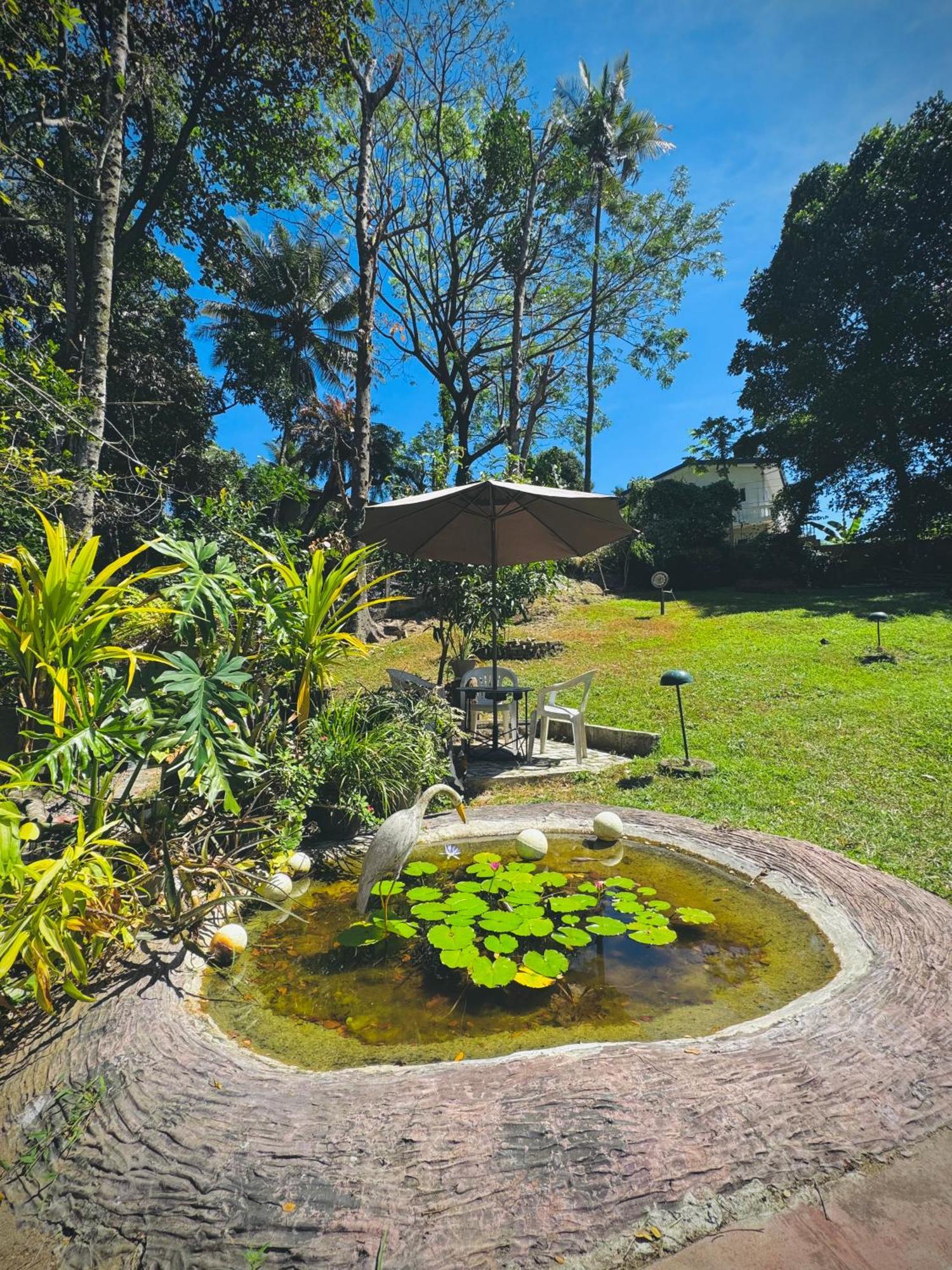 Mahaweli View Bungalow Kandy Exteriör bild