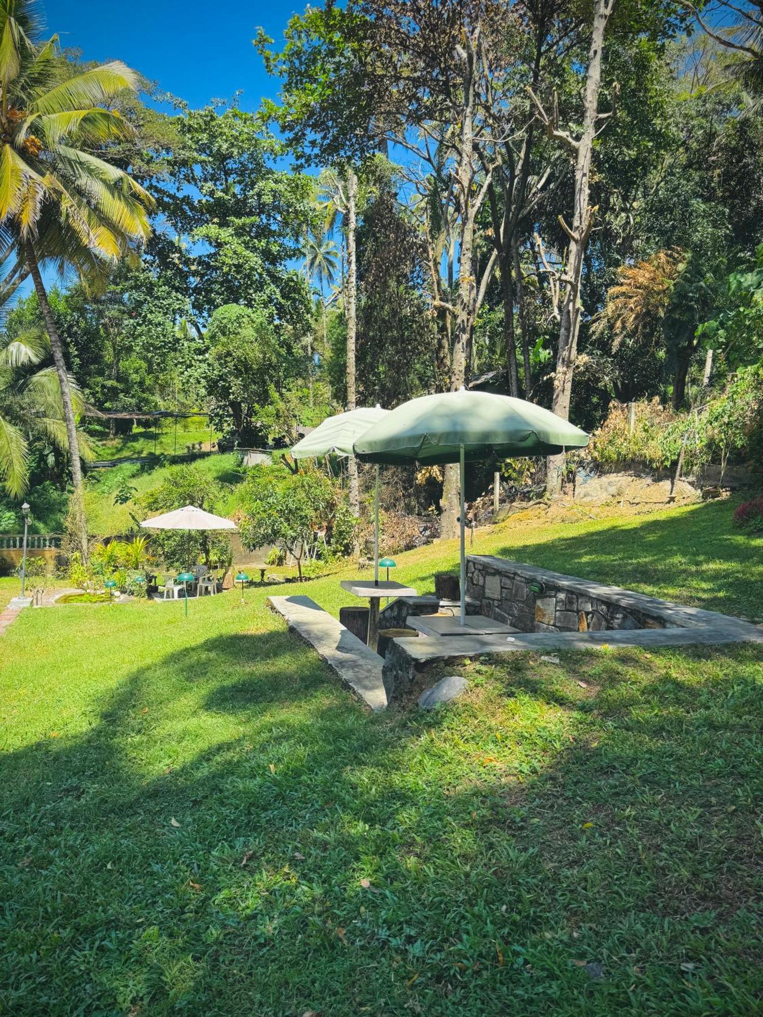 Mahaweli View Bungalow Kandy Exteriör bild